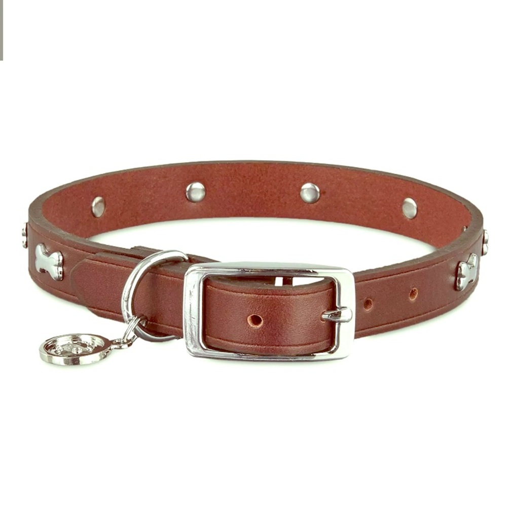 Bond & Co. Brown Leather Bone Stud Dog Collar